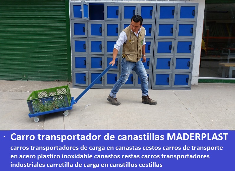 Carro transportador de canastillas carros transportadores de carga en canastas cestos carros de transporte en acero plastico inoxidable canastos cestas carros transportadores industriales carretilla de carga en canstillos cestillas 1 4 7 9 3 2 5 6 8  0 Carro transportador de canastillas carros transportadores de carga en canastas cestos carros de transporte en acero plastico inoxidable canastos cestas carros transportadores industriales carretilla de carga en canstillos cestillas